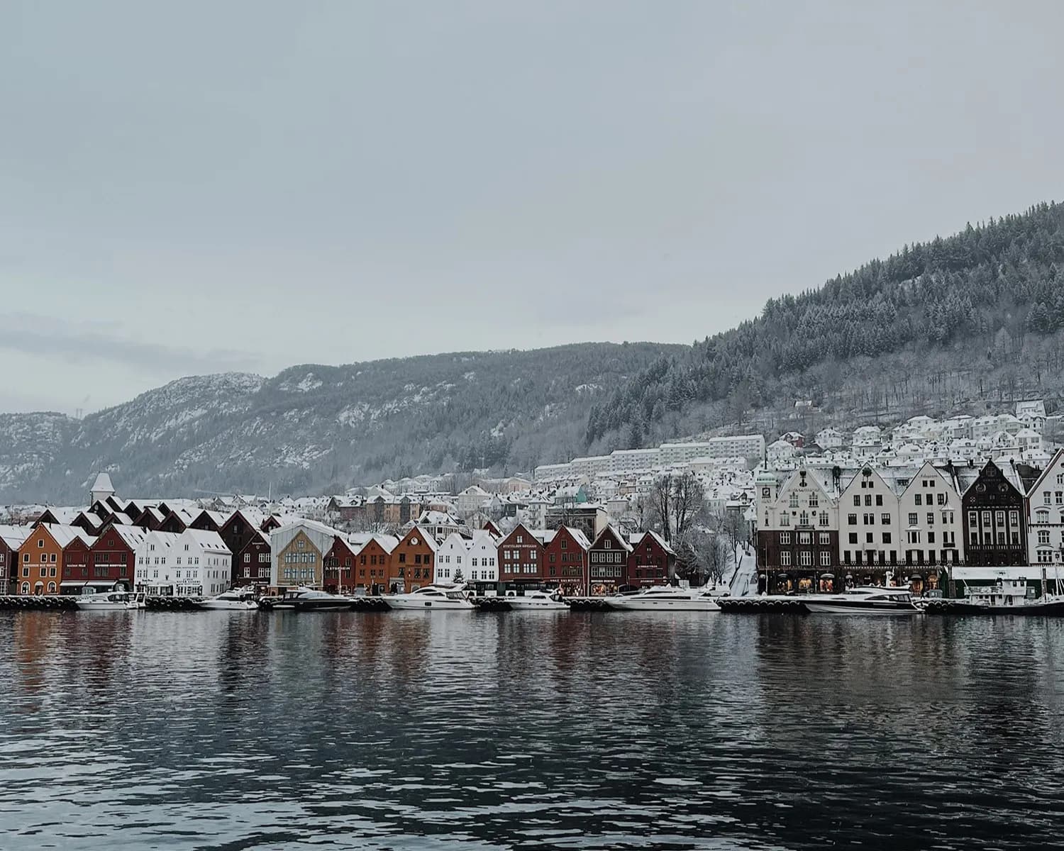 BERGEN: sanjsko življenje na severu!